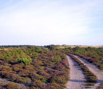 Klithjem Badehotel ligger i et naturskønt område