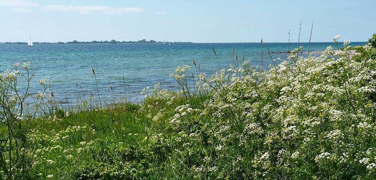 Bedste badehoteller på Fyn og Ærø