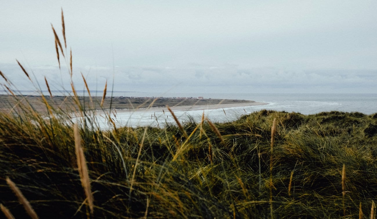 Øferie i Danmark